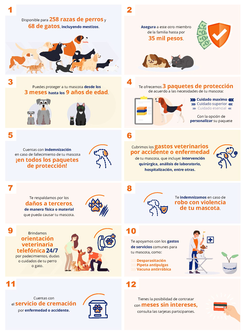 Te damos 12 razones para contratar nuestro seguro para mascotas: